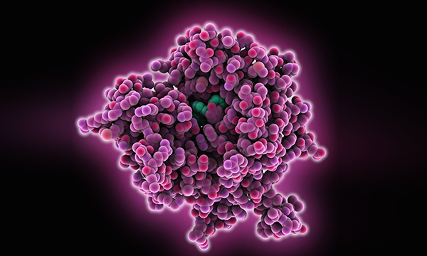Picture shows artwork depicting the enzyme human ARTD2 (pink) complexed with Olaparib cancer drug (green). 
