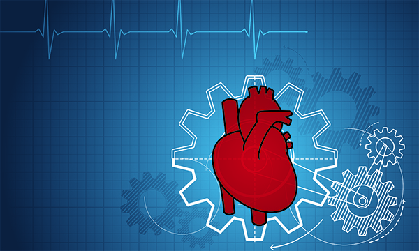 Nurse-led advanced cardiovascular assessment: a case study