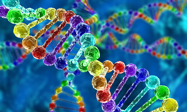 A position statement about predictive genetic testing among children