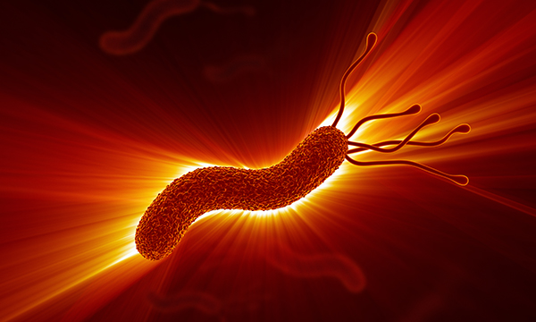 Helicobacter pylori: nurses’ perceptions of diagnosis and treatment in adults