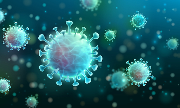 Image showing particles of the coronavirus, which has led to the COVID-19 pandemic