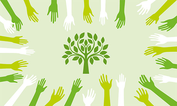 Research tree of knowledge