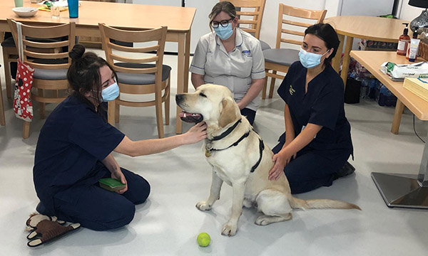 (L-R) Royal Bolton Hospital ICU staff Jess Campbell-Tandey, Danielle Hollick and Becky Crompton with Mason