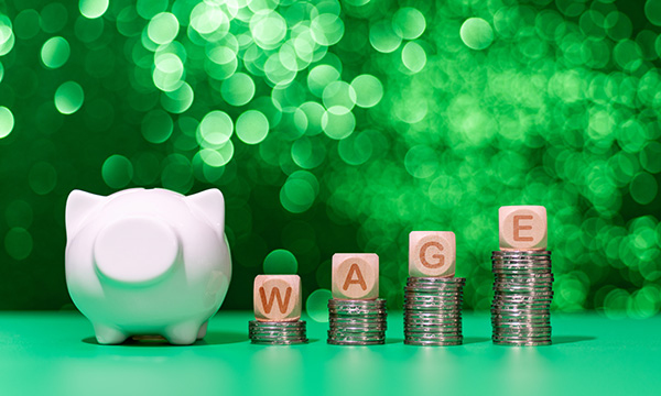 Image of piggy bank with four piles of coins topped by letters spelling out 'wage'