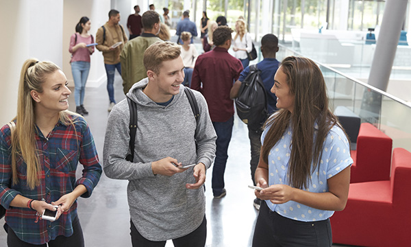 Exploring support strategies for improving nursing student retention