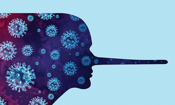 Recognising and addressing health misinformation in nursing practice