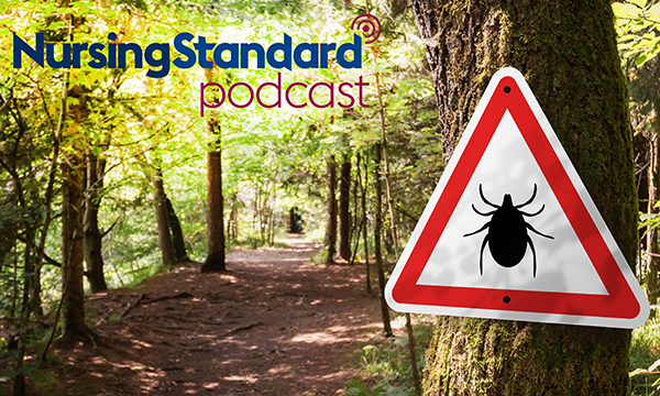A woodland scene with a warning notice bearing the image of a tick