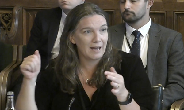 Hampshire Hospitals NHS Foundation Trust chief executive Alex Whitfield giving evidence to the Commons Health and Social Care Committee