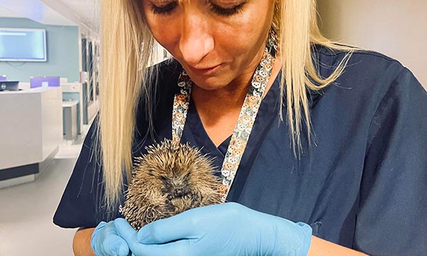 Sister Kate Gordon with John the hedgehog