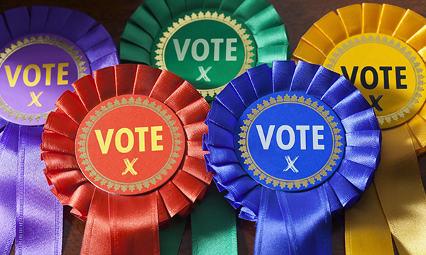 Rosettes in different colours, suggesting differing political opinions and allegiances