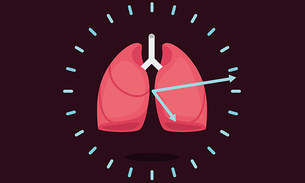 Respiratory rate: illustration showing the respiratory system overlaid with a clock face, suggesting the minute measurement needed to get an accurate breaths per minute count