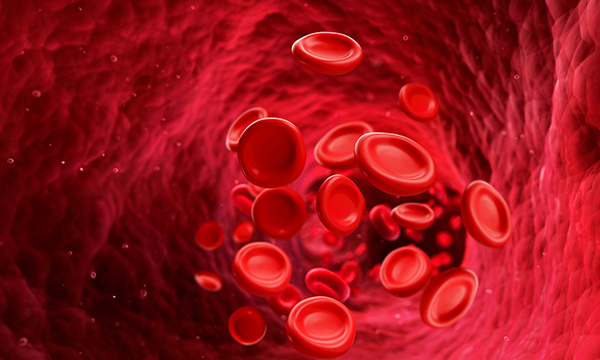 Understanding the diagnosis, symptoms and treatment of rare bleeding disorders