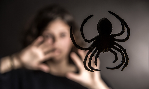 Arachnophobia