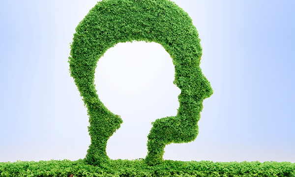 Transition to adult mental health services