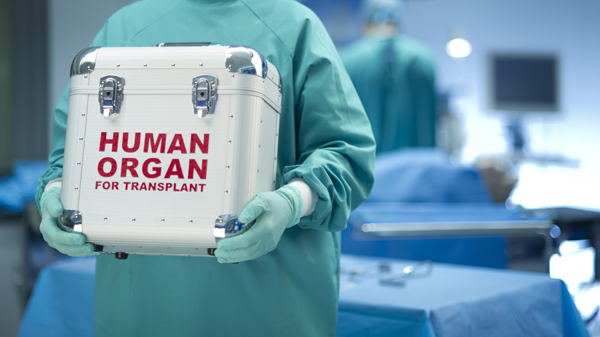 organ donation