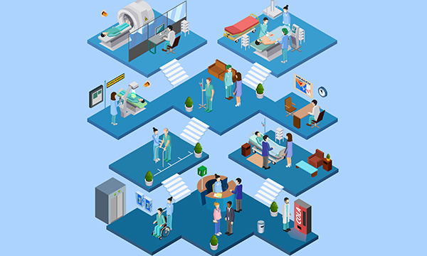 Organisational culture