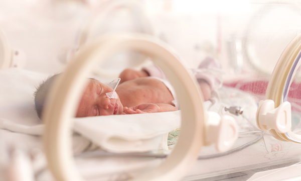 Premature baby