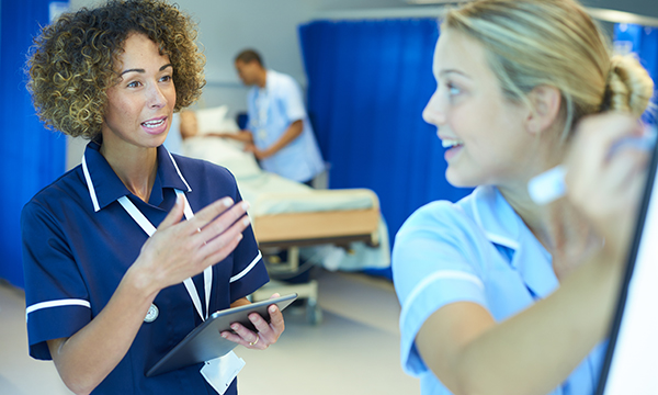 Lead opinion mentoring