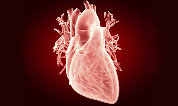 Nursing patients with acute aortic dissection in emergency departments