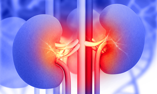 Putting theory into practice