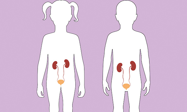 Biological basis of child health 15: understanding the renal system and common renal conditions in children
