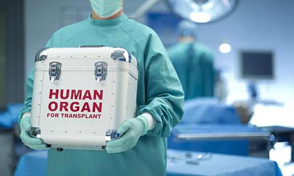 organ donation