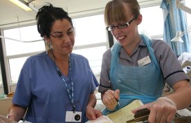 A practice assessor on a busy ward assesses the work of a nursing student on a clinical placement