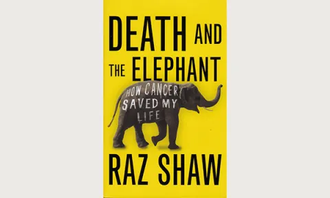 Death and the Elephant