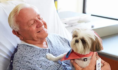A theoretical perspective on planning and implementing pet therapy for older patients with dementia or cognitive impairment in an acute hospital setting