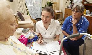 Community nursing as a future career choice: exploring nursing students’ perceptions 