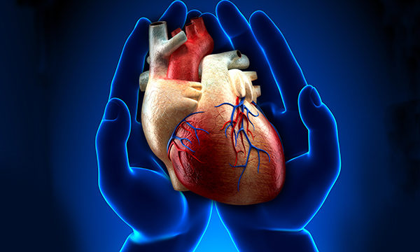 Continuity of care for adults living in the community who have been diagnosed with congenital heart disease