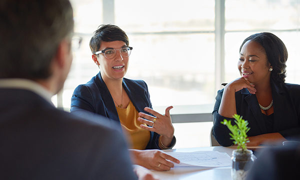 Female and BME board members at a meeting
