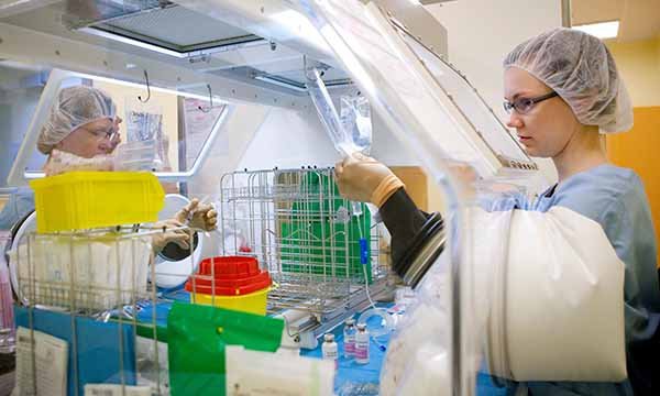 Systemic anticancer therapy handling safety: healthcare workers’ awareness, knowledge, training and use of protection measures