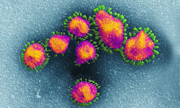 Coronavirus illustration