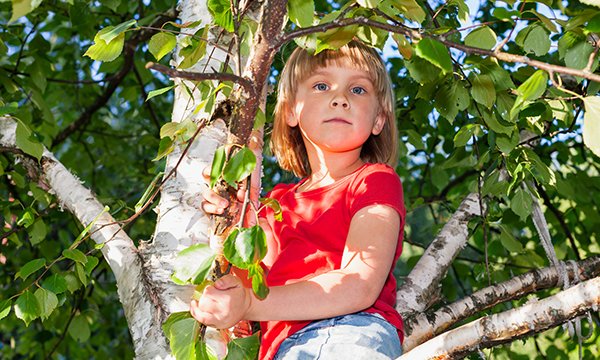Child sitting in a tree