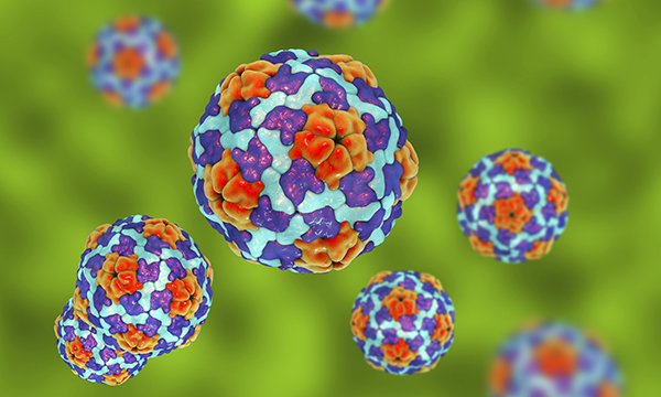 Hepatitis A infection: public health management and the role of the primary care nurse