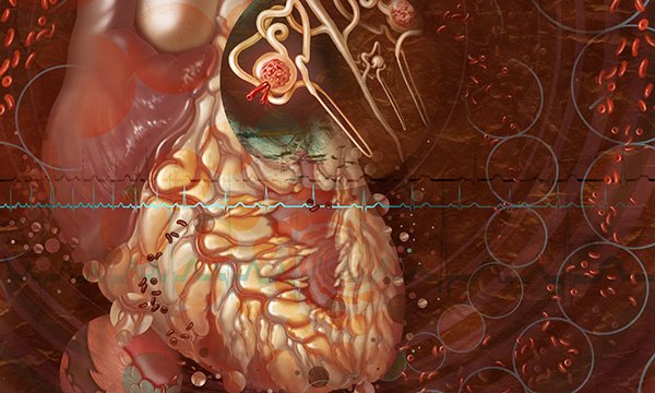 Pharmacological management of chronic heart failure