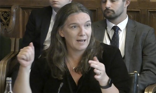 Hampshire Hospitals NHS Foundation Trust chief executive Alex Whitfield giving evidence to the Commons Health and Social Care Committee