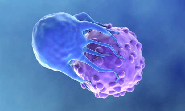 Chimeric antigen receptor (CAR) T-cell therapy: an overview for nurses