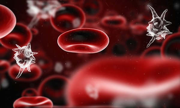 Sepsis happens when the immune system overreacts to presence of infection in the blood