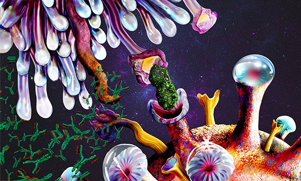 Management of immune-related adverse events in oncology settings 