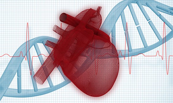 Caring for children and young people with inherited cardiac conditions: the evolving role of specialist nurses