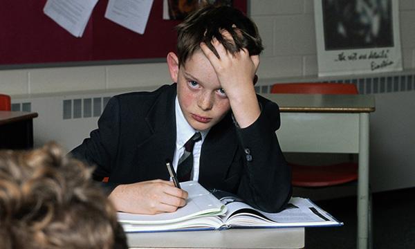 Exploring the short-term impact of screening for intellectual disabilities in mainstream schools