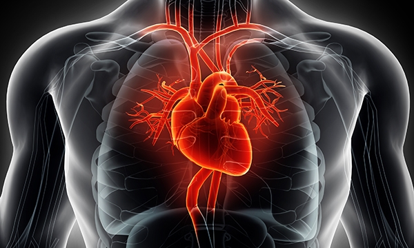 Brain natriuretic peptide
