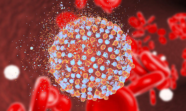 Eradicating hepatitis C virus