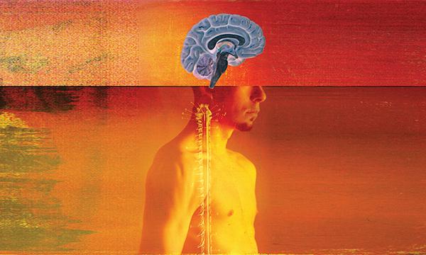 stop, look and listen 