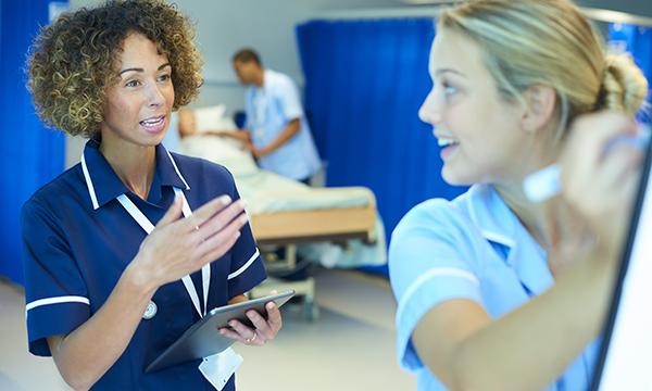 Lead opinion mentoring