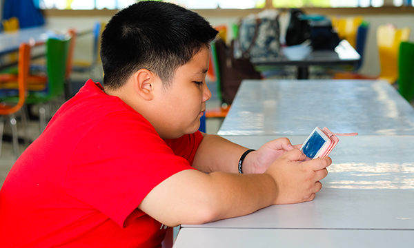 The relationship between physical activity and diet, and overweight and obesity, in young people