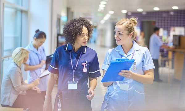 Development of approaches and legislation to optimise nurse staffing levels