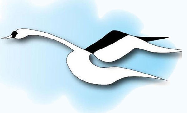 Swan logo